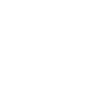 white logo of winking brain for neurodiverse Alex